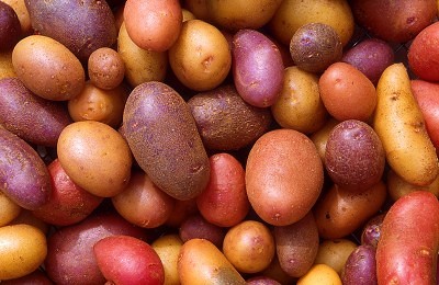kartofler styrker dit immunforsvar
